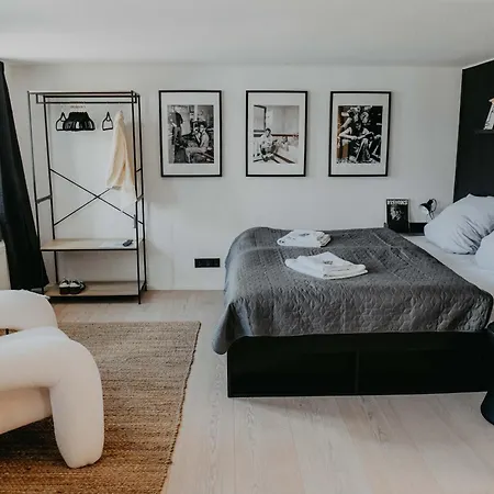 Sleepart Black&white شقة *